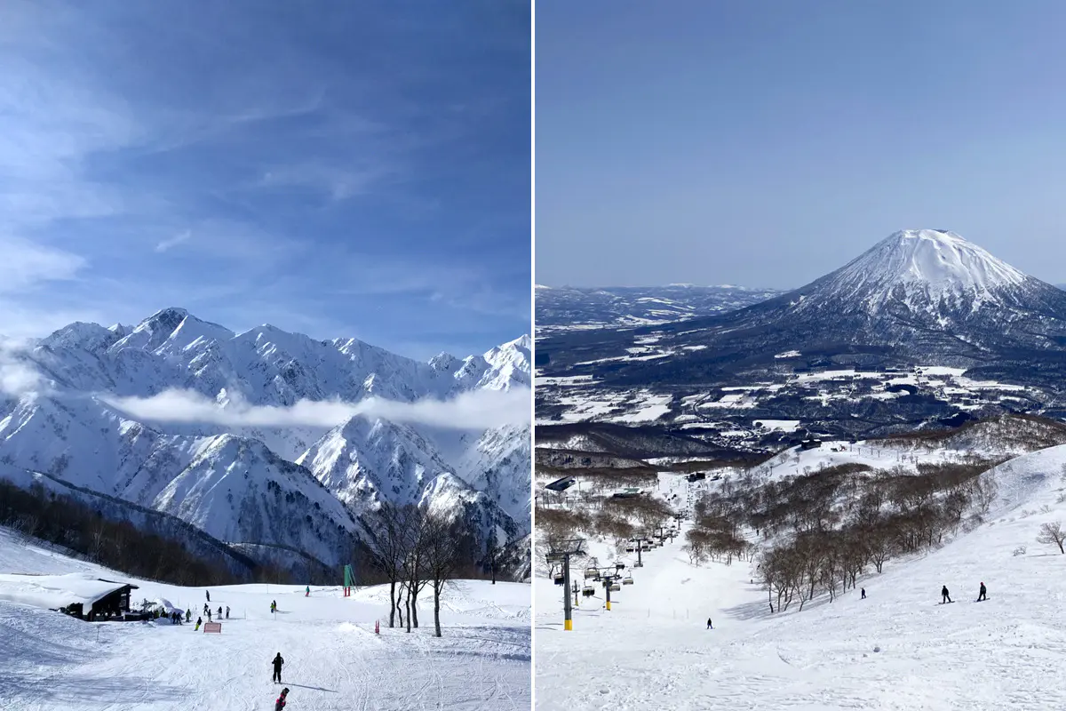 Niseko vs Hakuba