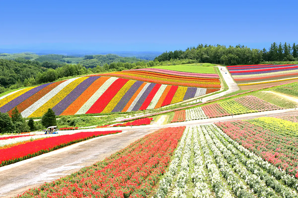 Furano Real Estate Investment