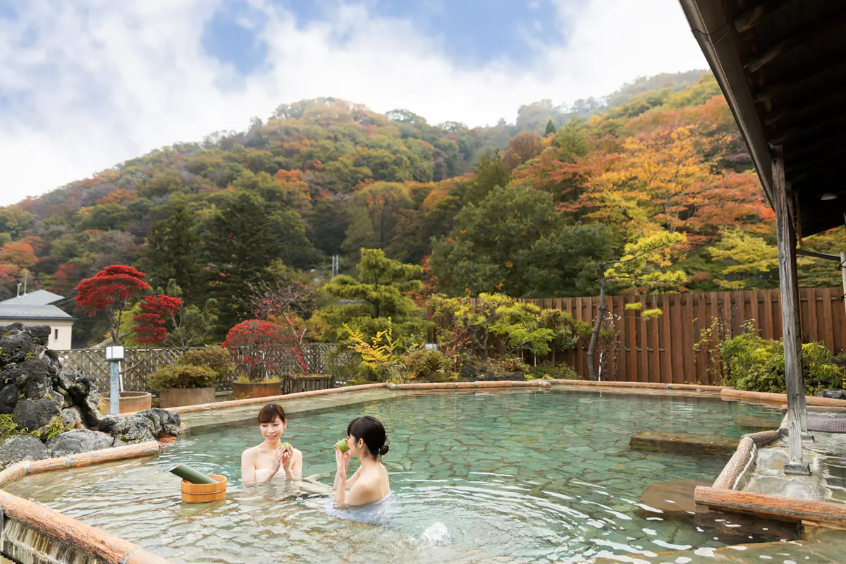 Onsen Real Estate