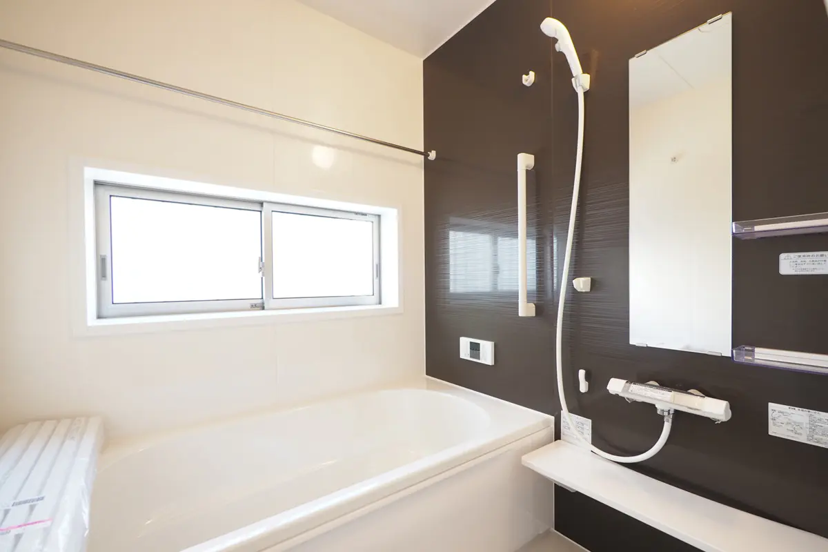 Separate Bathroom Layout