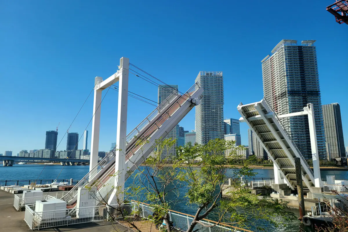 Toyosu city
