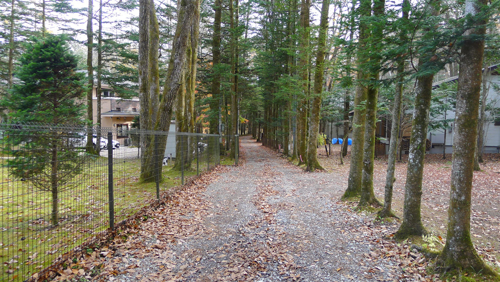 Land for Sale in Karuizawamachi,Kitasakugun, Nagano Japan Real