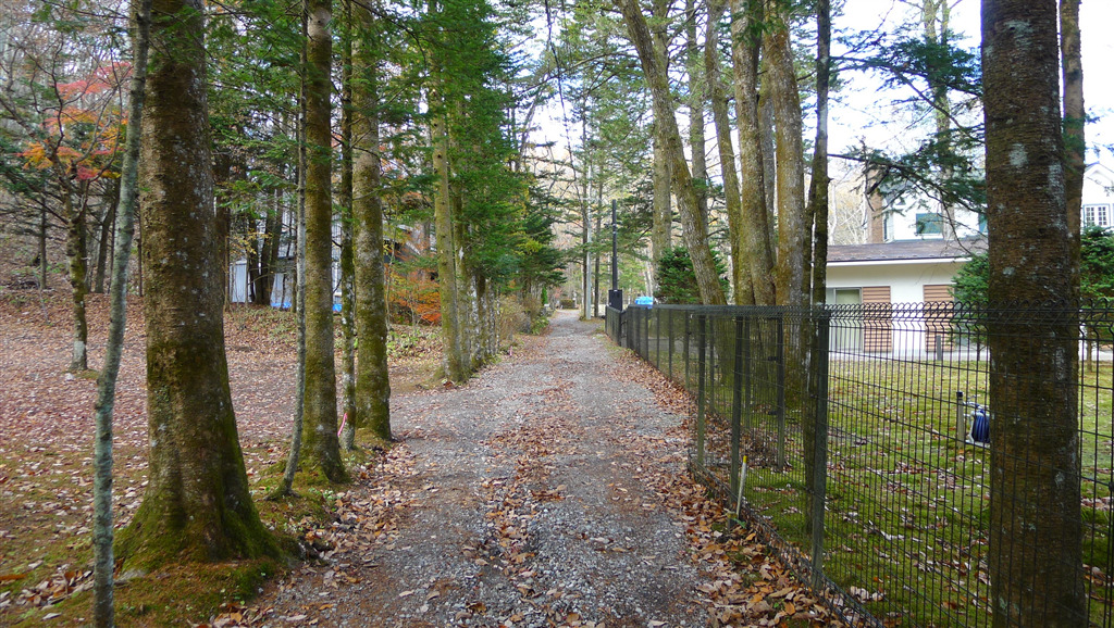 Land for Sale in Karuizawamachi,Kitasakugun, Nagano Japan Real