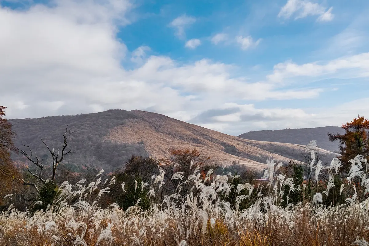 Land for Sale in , Japan - Japan Real Estate | Japan-Property